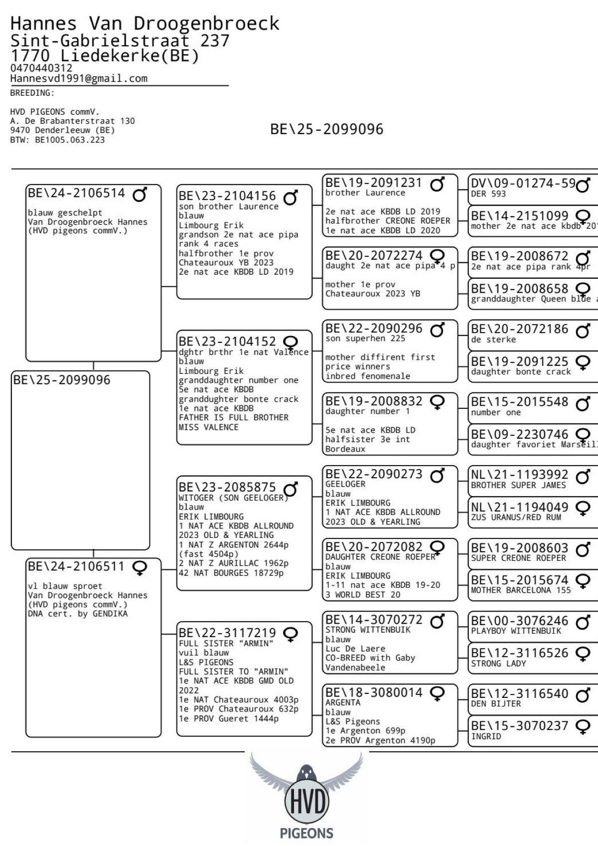 BE25-096 -pedigree (21 & 1 juli)