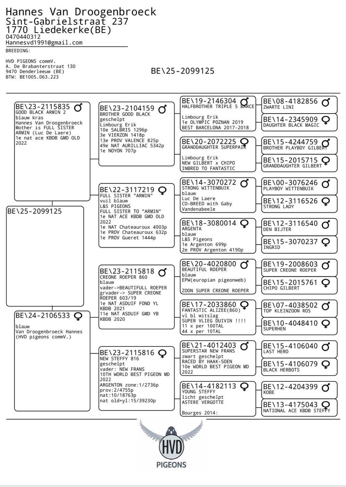 BE25-125 -pedigree (21 juli)