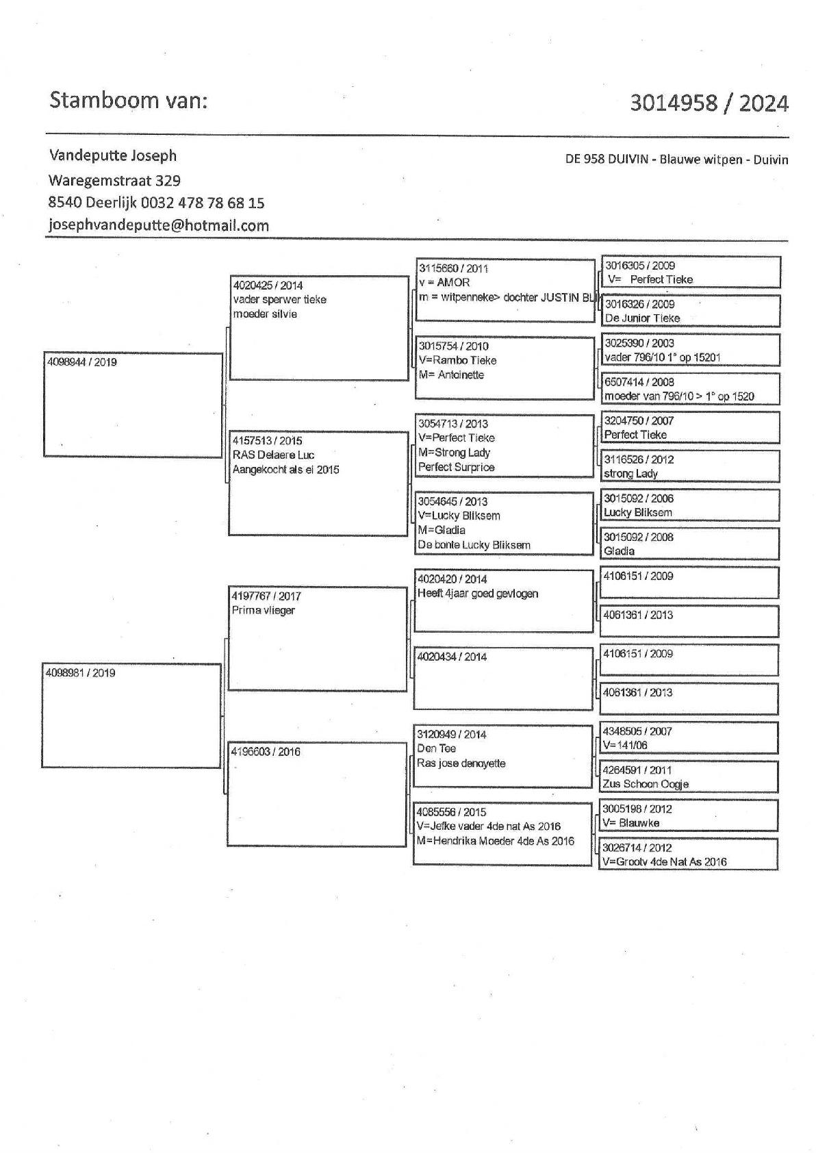 Pedigree Vandeputte Joseph