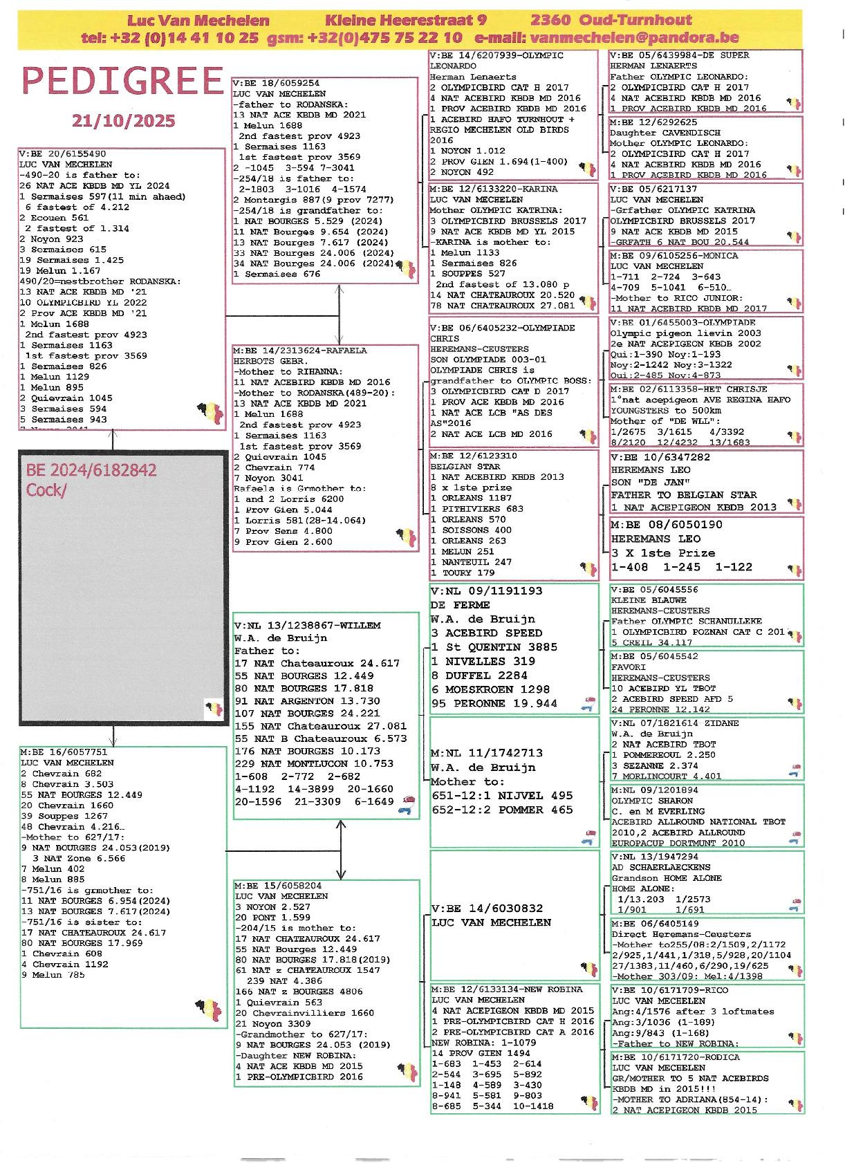 Pedigree VAN MECHELEN LUC &gt; OUD-TURNHOUT