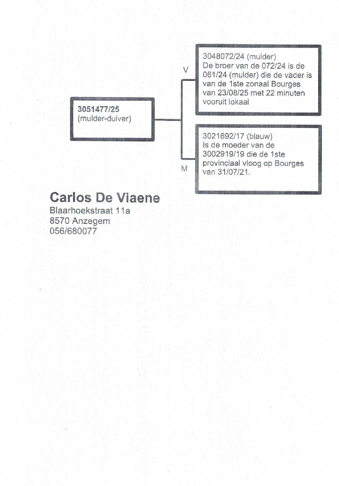 Pedigree DE VIAENE CARLOS &gt; ANZEGEM