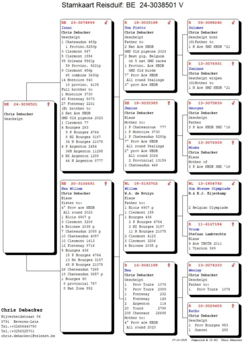 Pedigree DEBACKER CHRIS &gt; BEVEREN-LEIE
