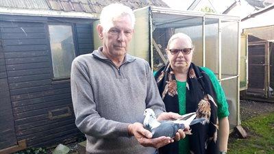 684718-img_20241026_153621-1-croppedxs