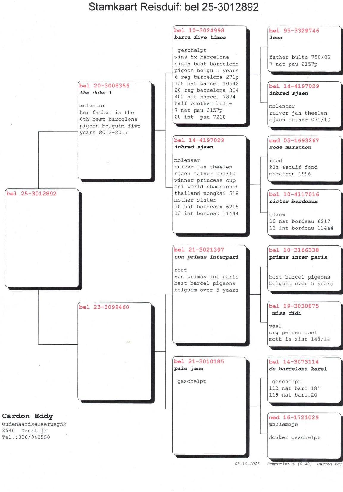 Pedigree CARDON EDDY > DEERLIJK