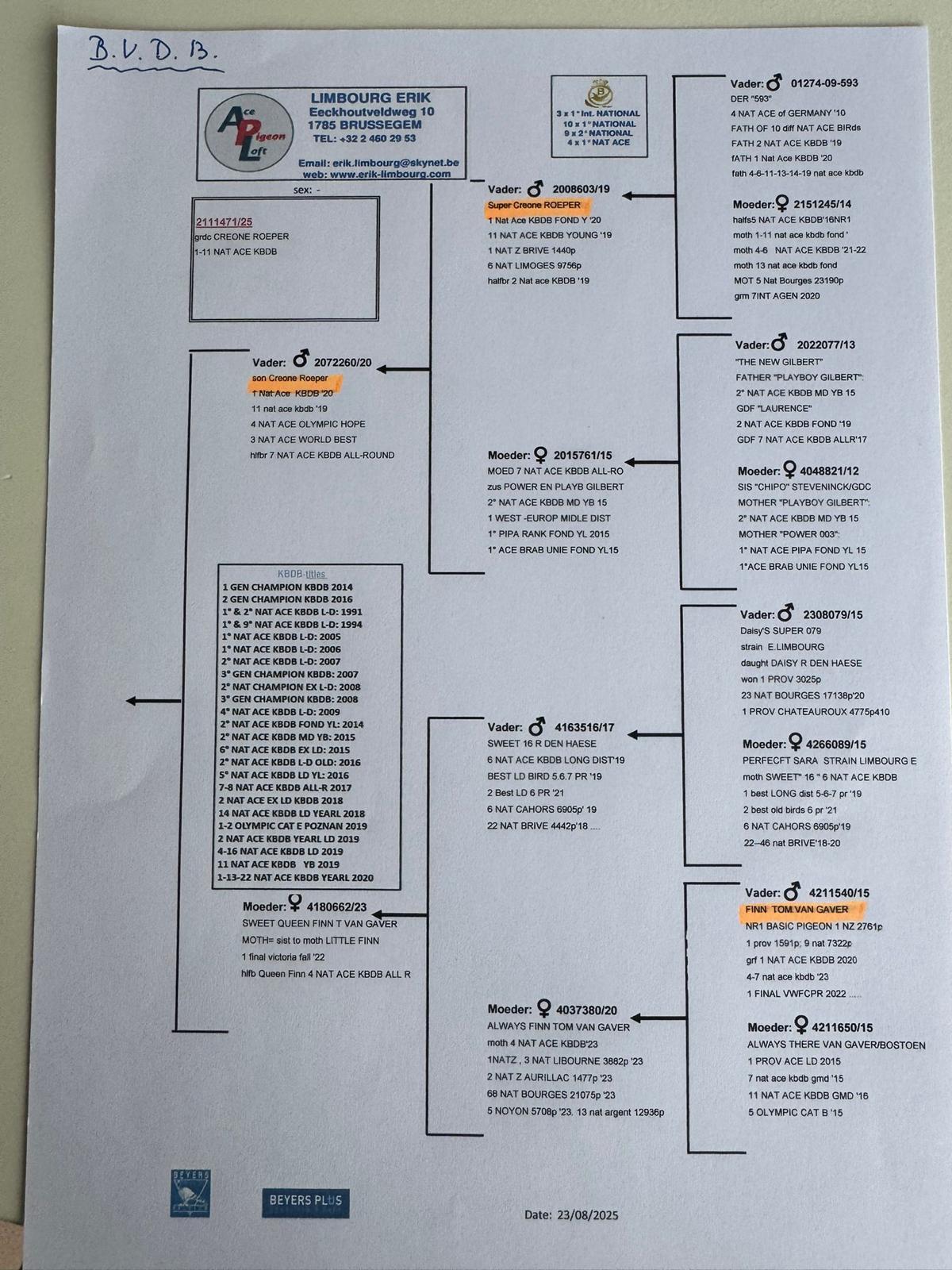 Pedigree LIMBOURG ERIC > BRUSSEGEM