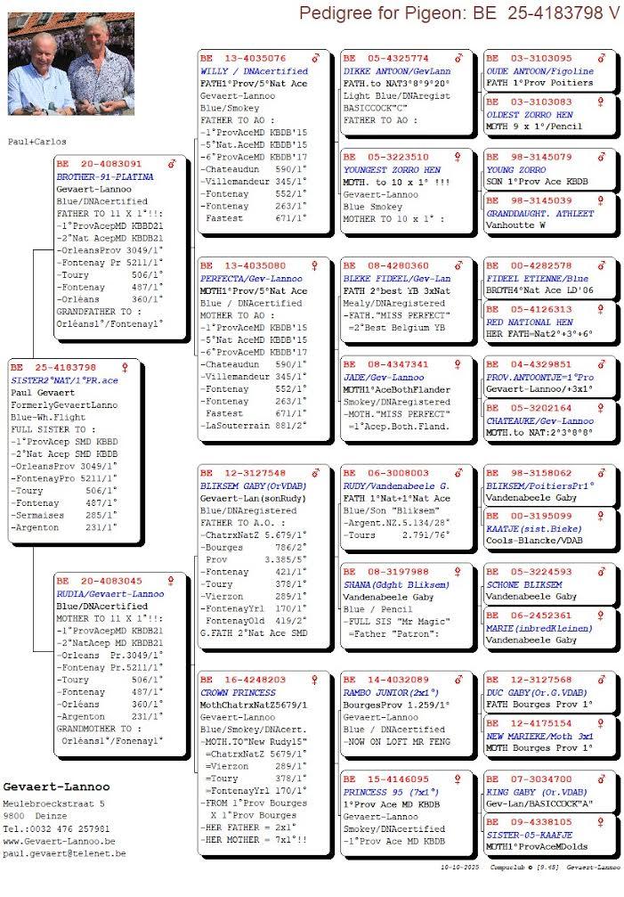 GEVAERT PAUL > MEIGEM - Pedigree