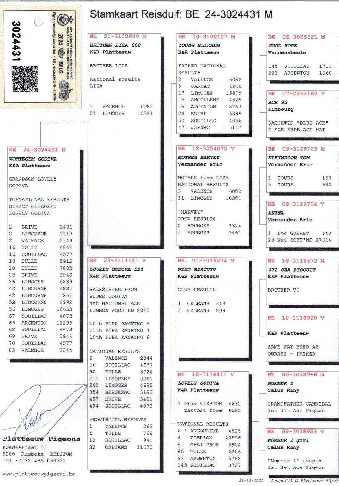 Pedigree TEAM PLATTEEUW > RUMBEKE