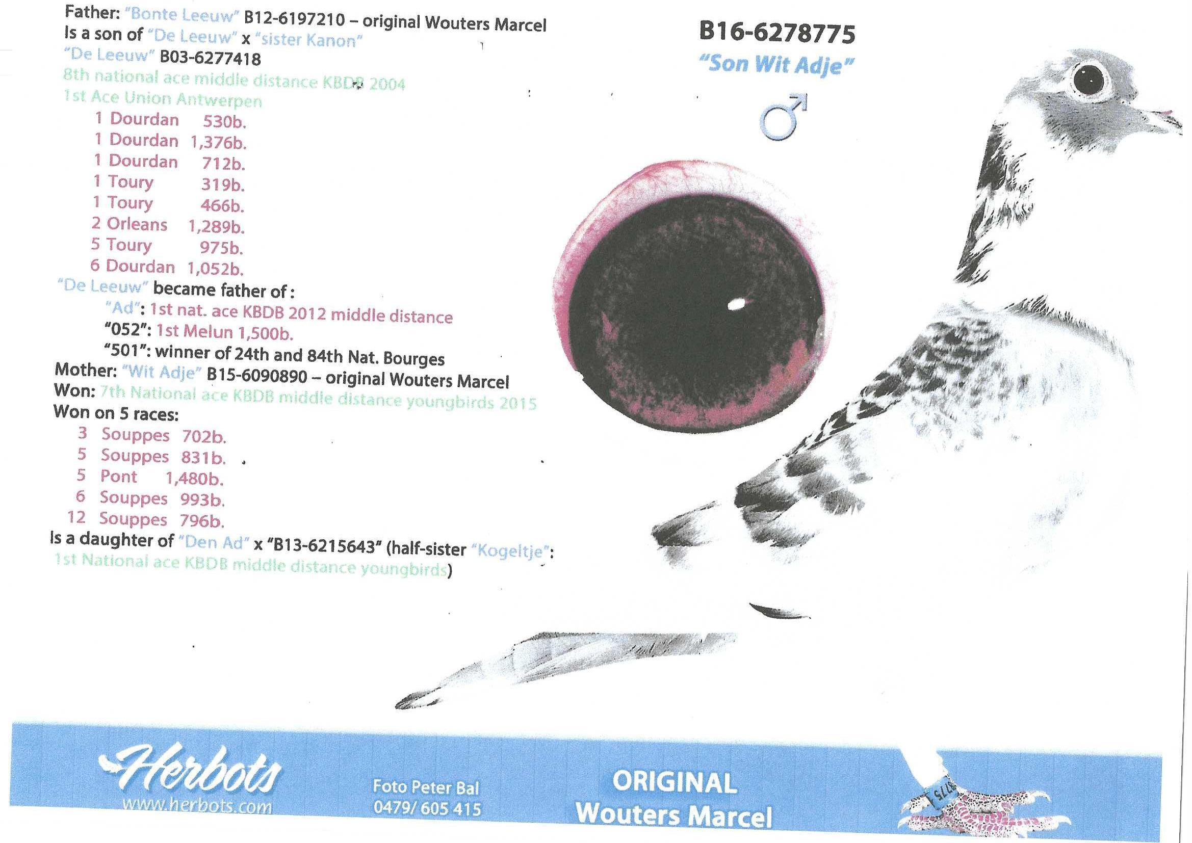 Foto ouders Crack_0002