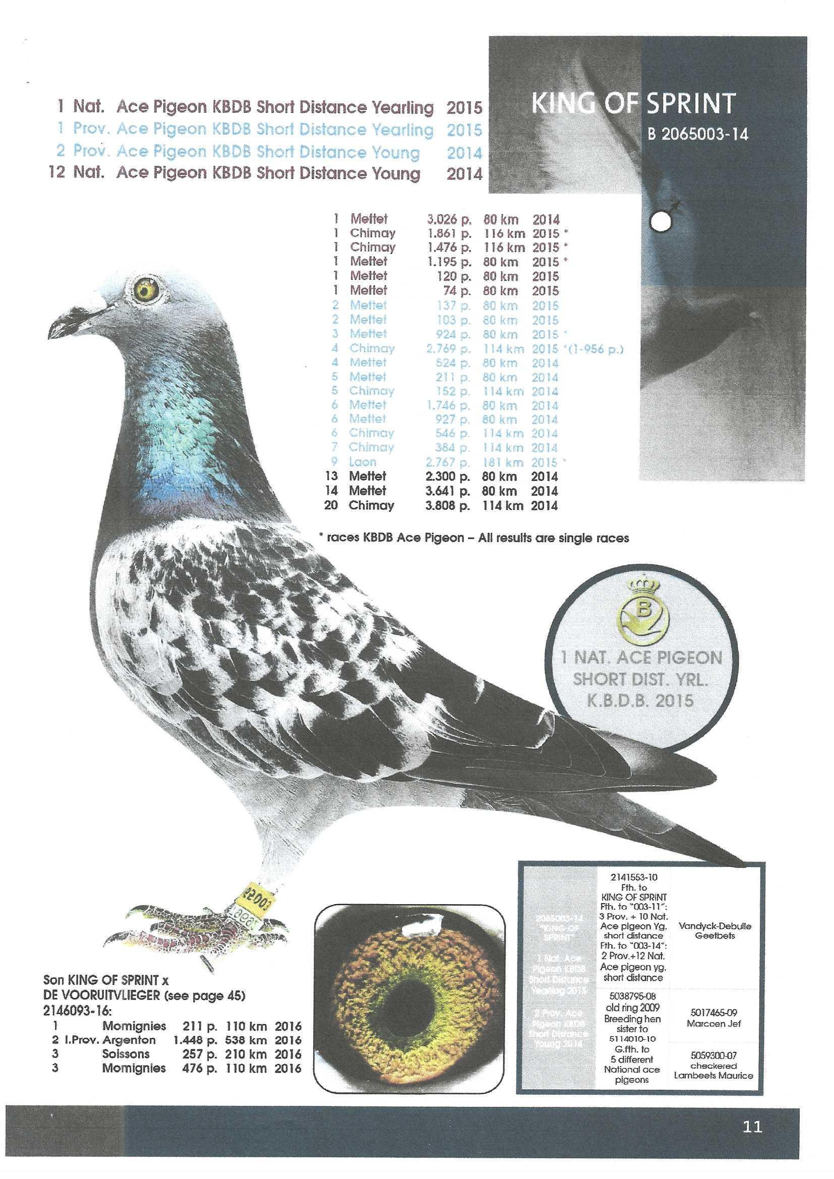 Foto king of Sprint_0001