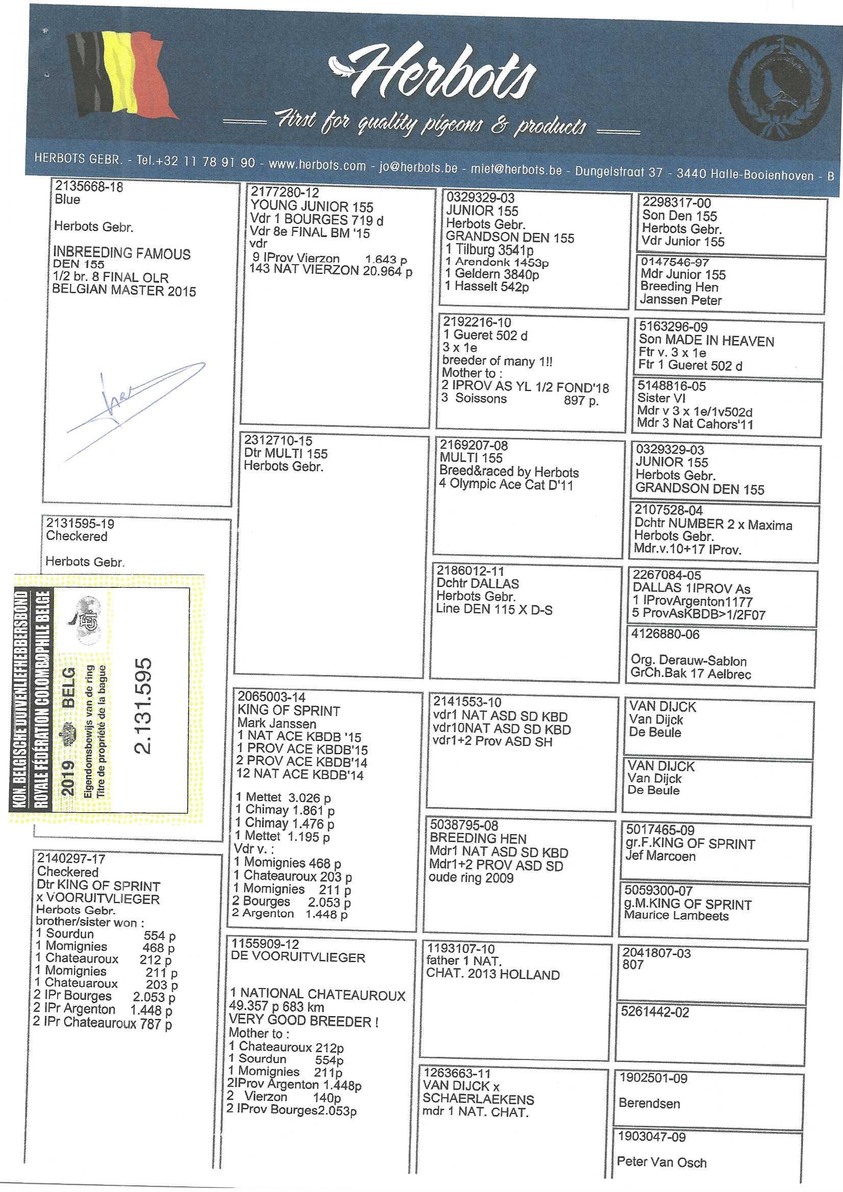 Original BE19-2131595