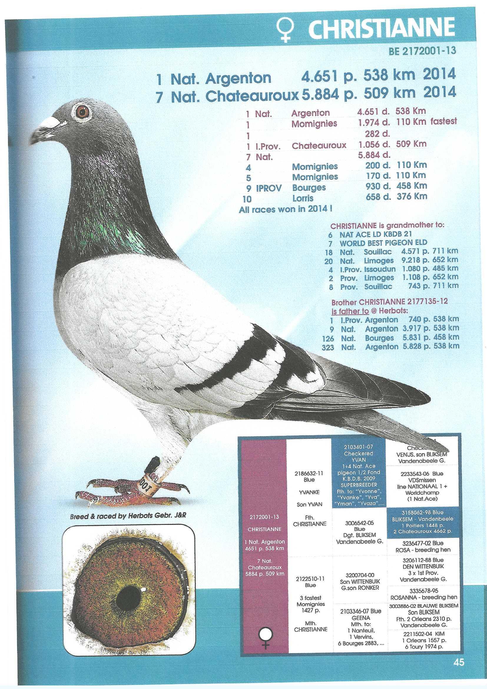 Foto Christianne_0003