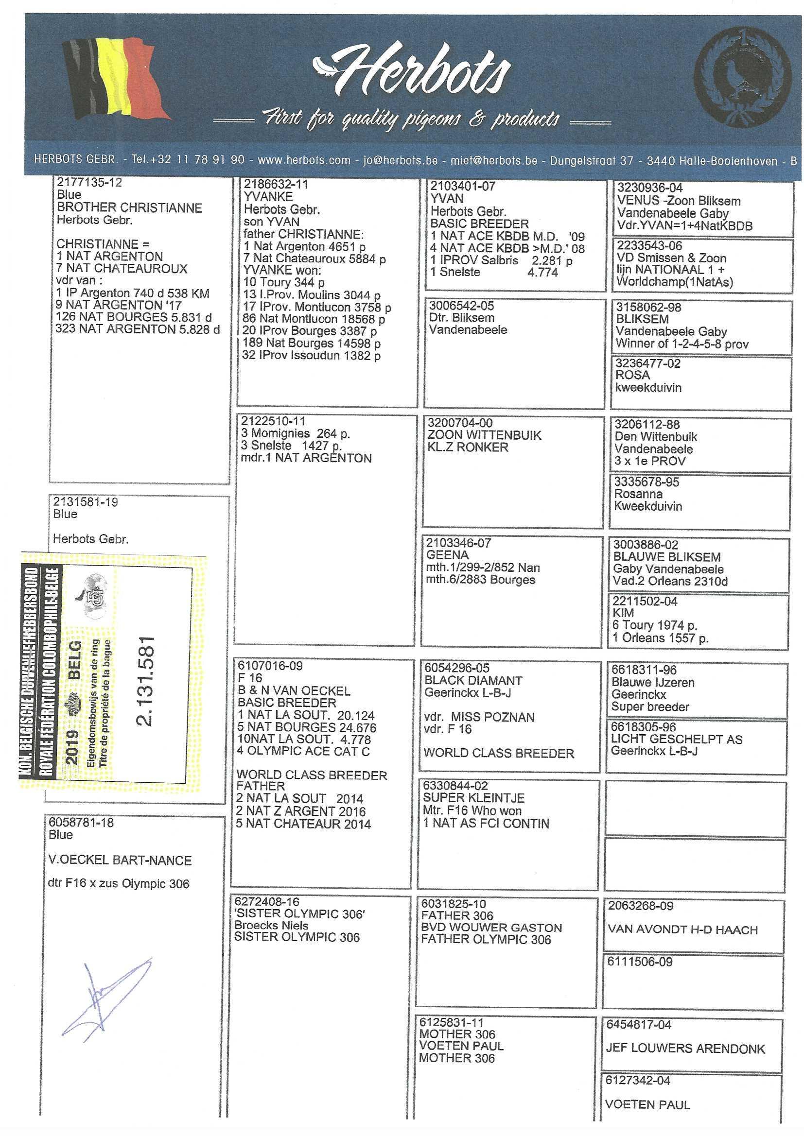 Original BE19-2131581