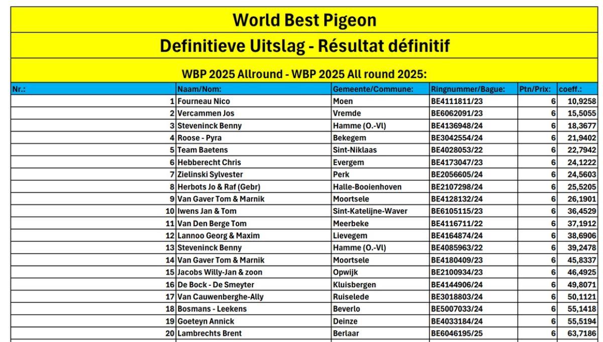 World Best Pigeon 2025 Allround