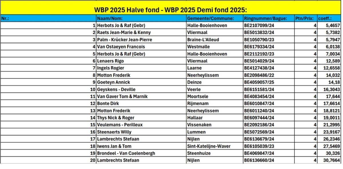 World Best Pigeon 2025 Halve Fond