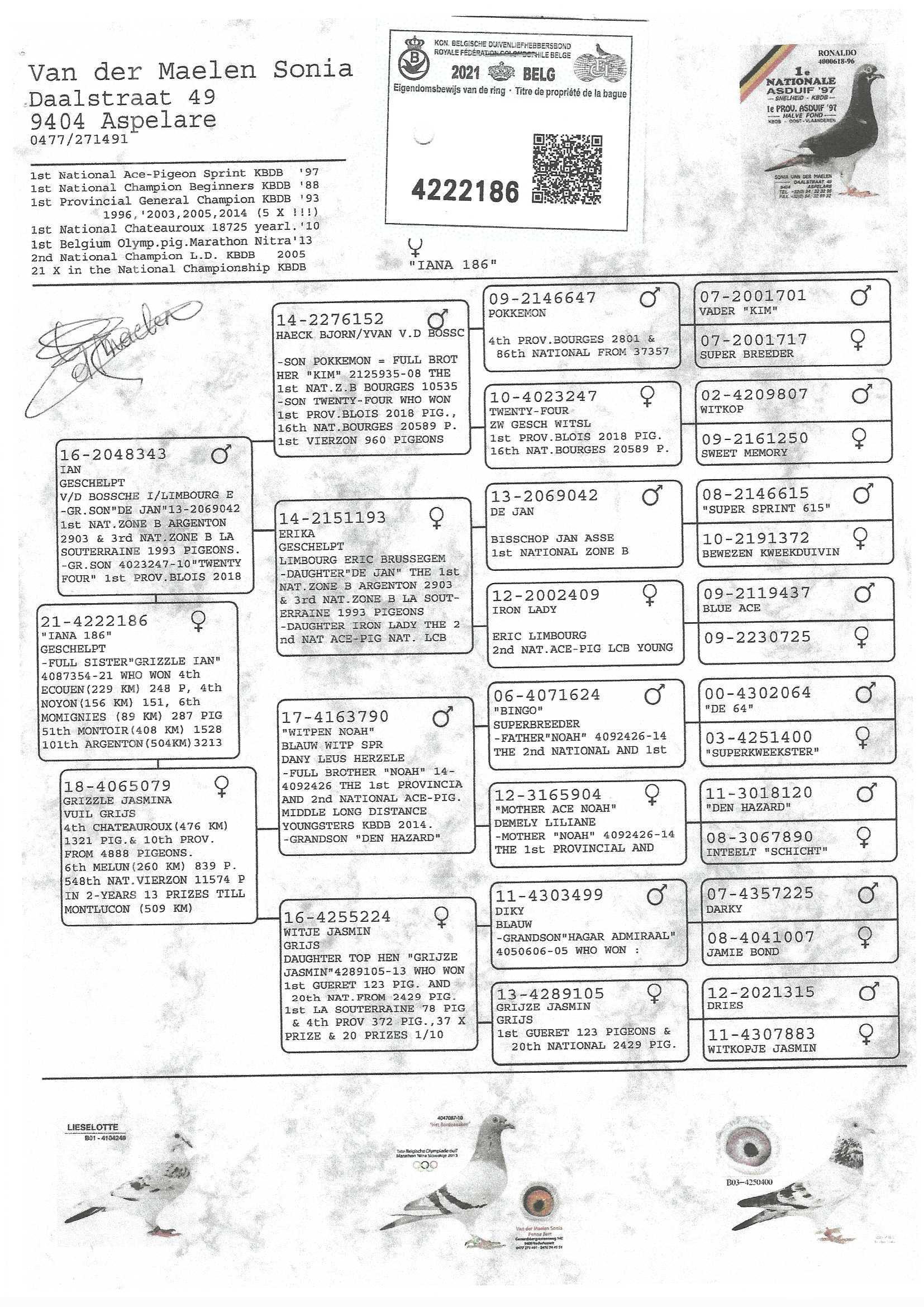 Origineel BE21-4222186