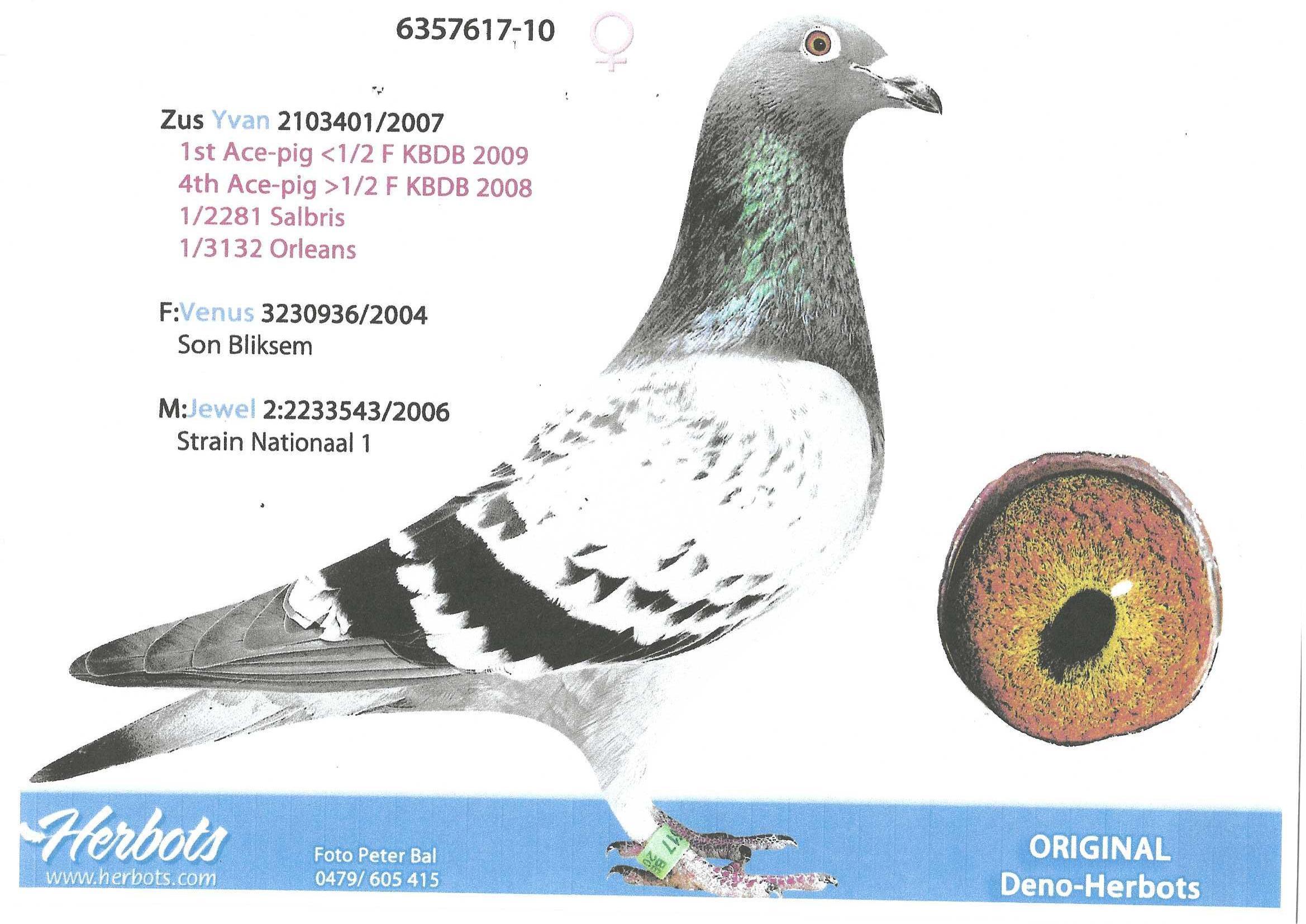 Foto ouders Crack_0001