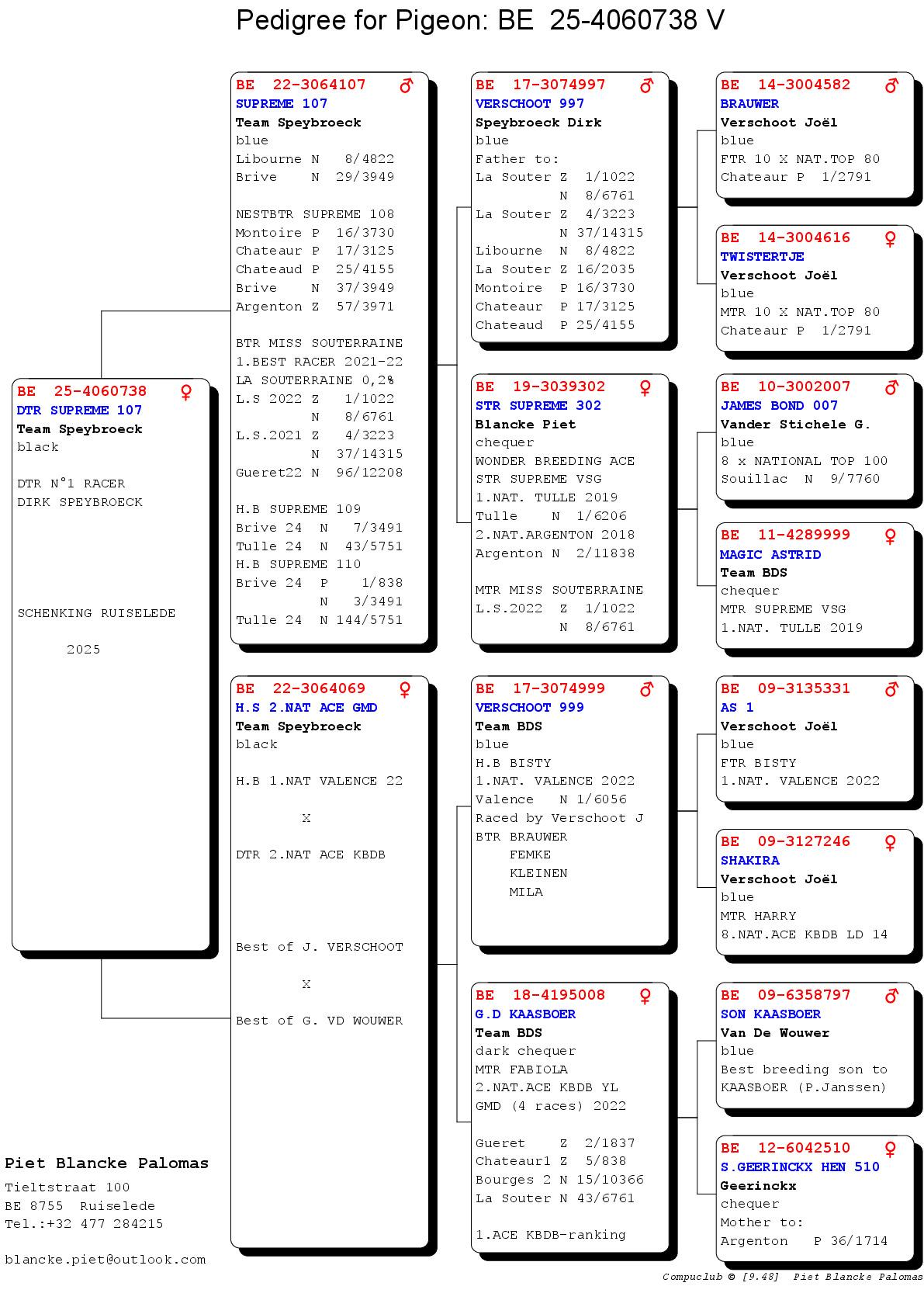 62-SPEYBROECK DIRK PEDIGREE 25-4060738 V
