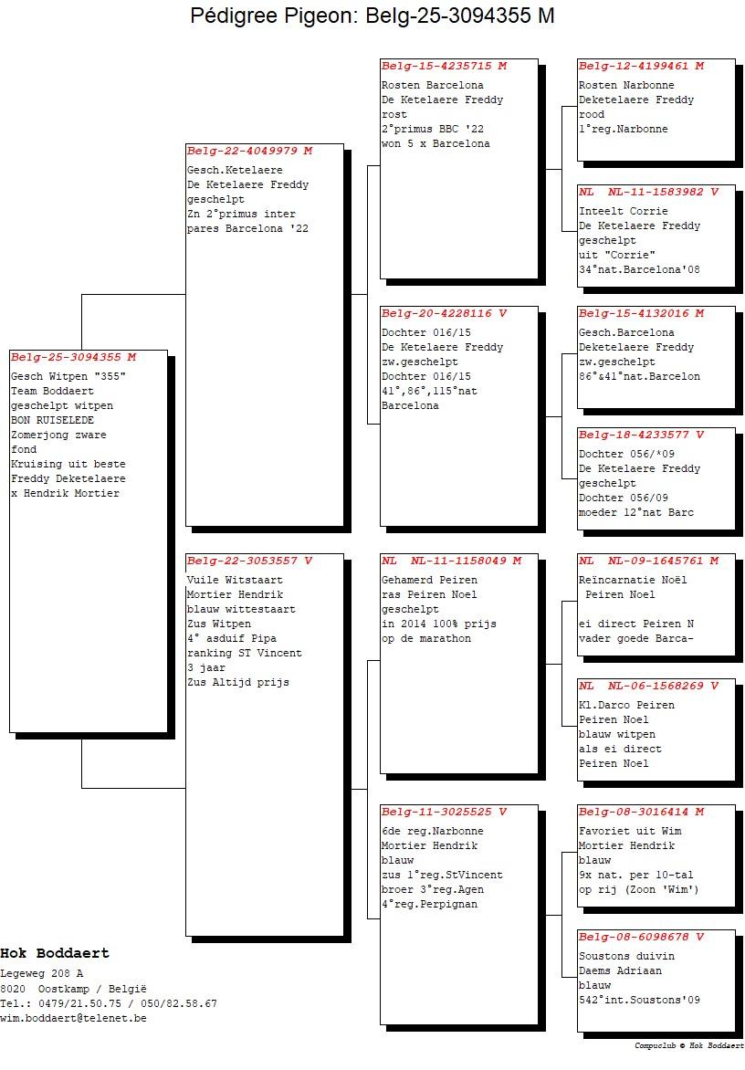 64-TEAM BODDAERT PEDIGREE 25-3094355