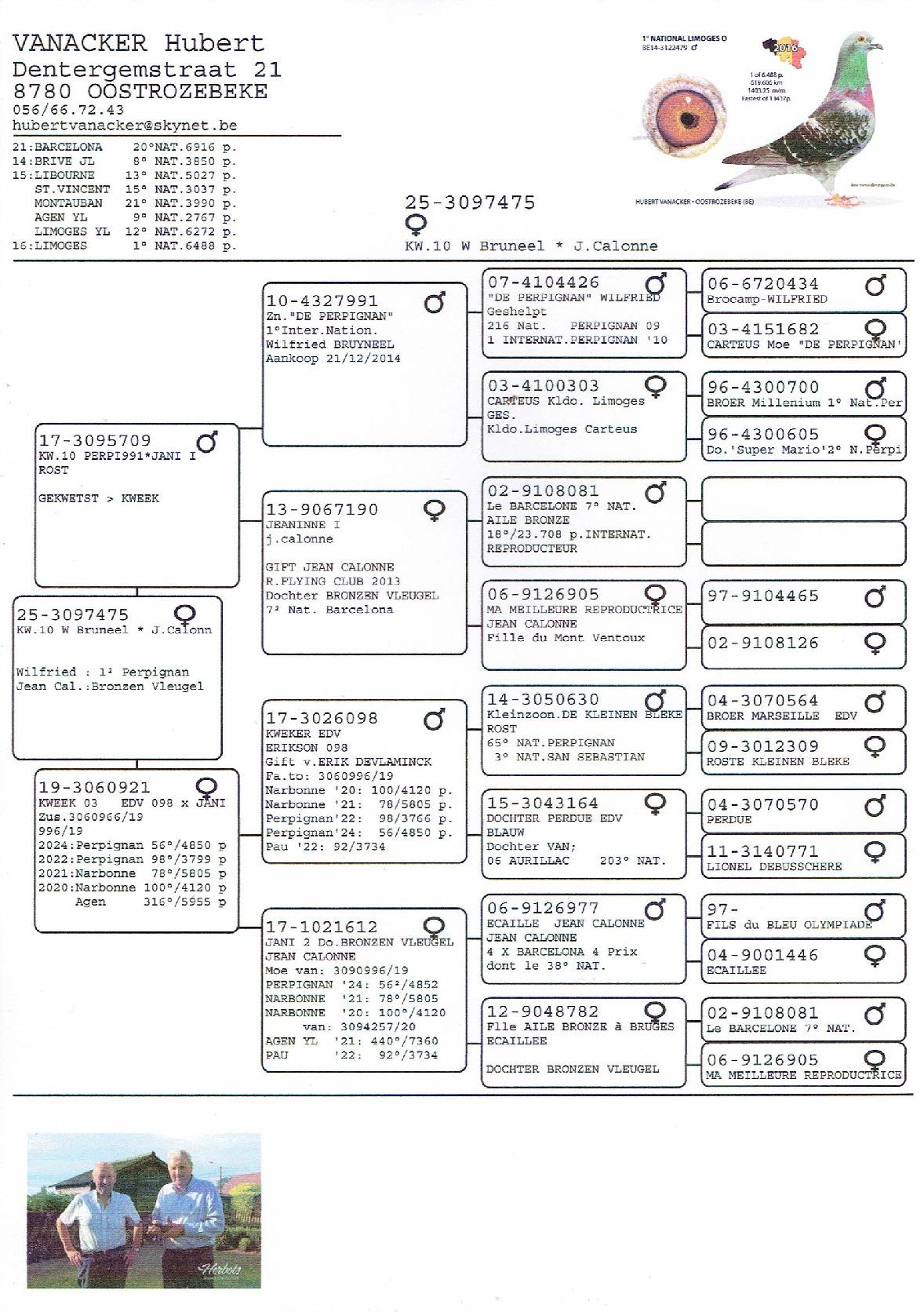 82-VANACKER HUBERT PEDIGREE 25-3097475 V