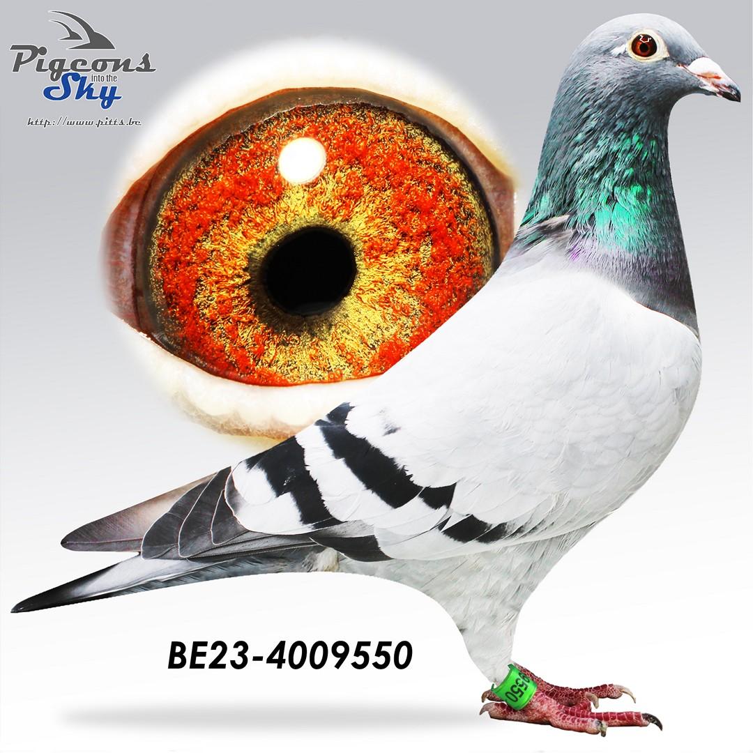 BE23-4009550