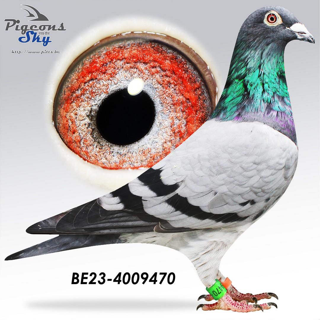 BE23-4009470