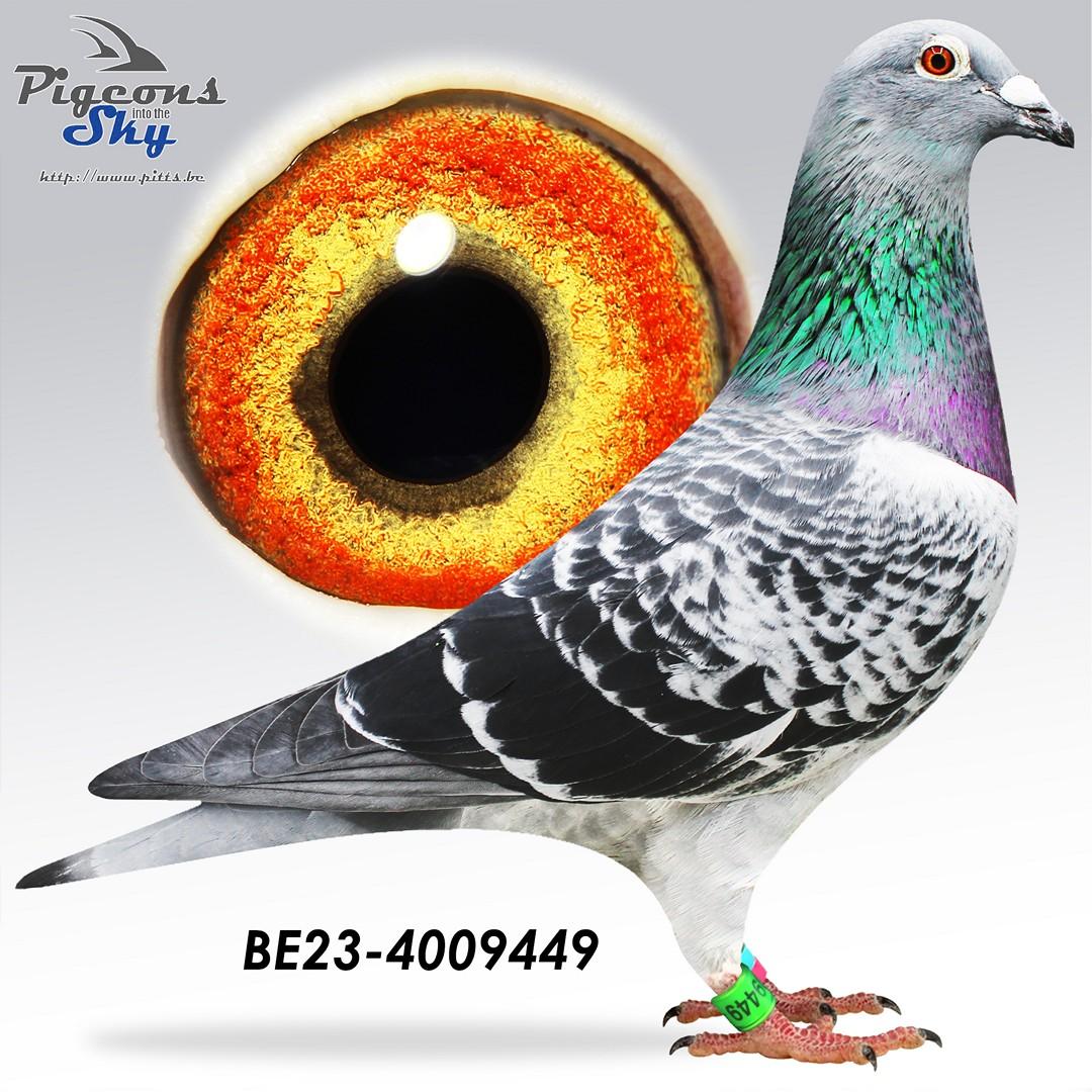 BE23-4009449