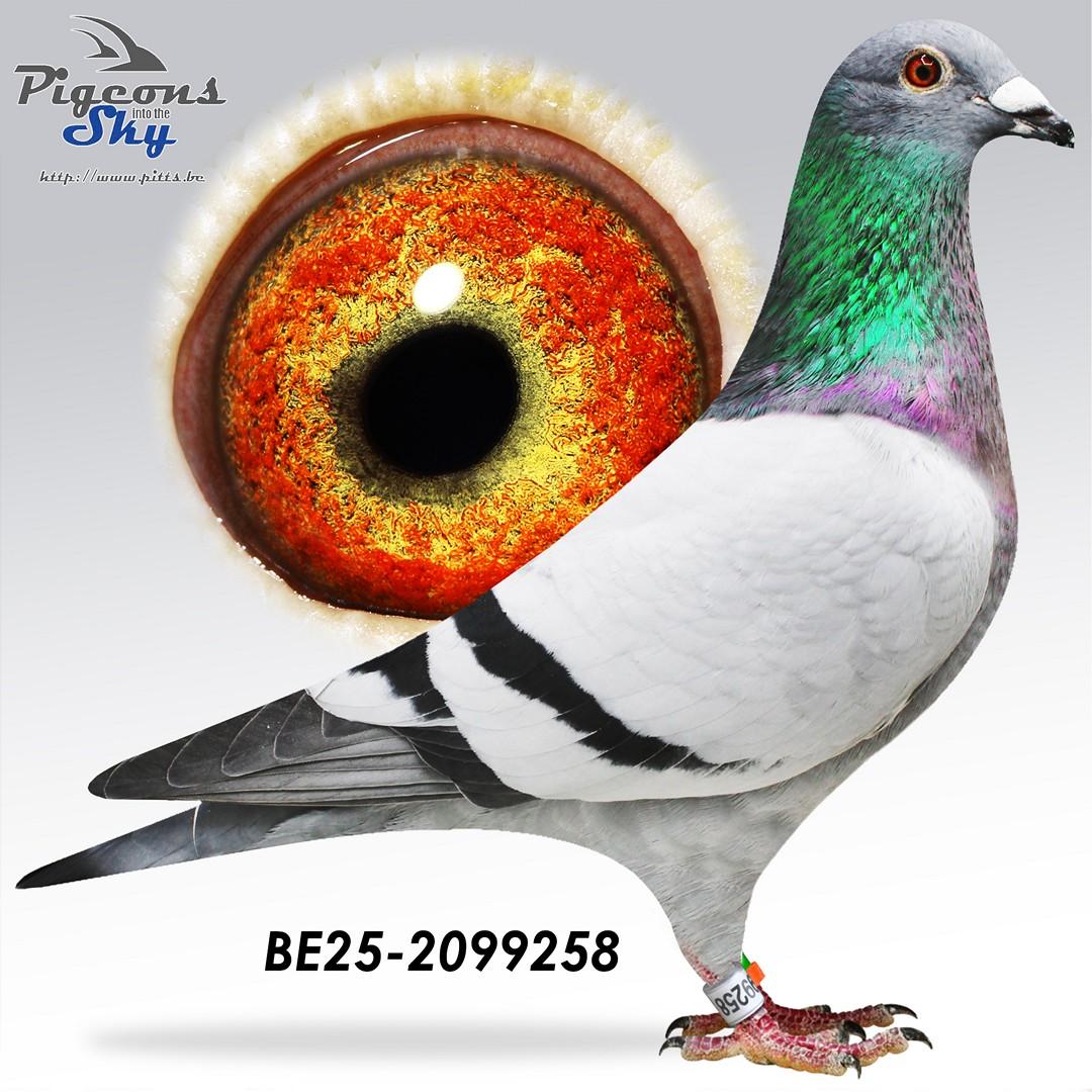 BE25-2099258