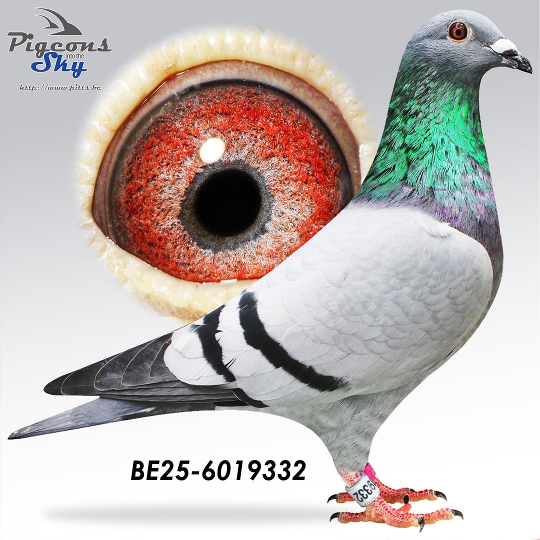 BE25-6019332