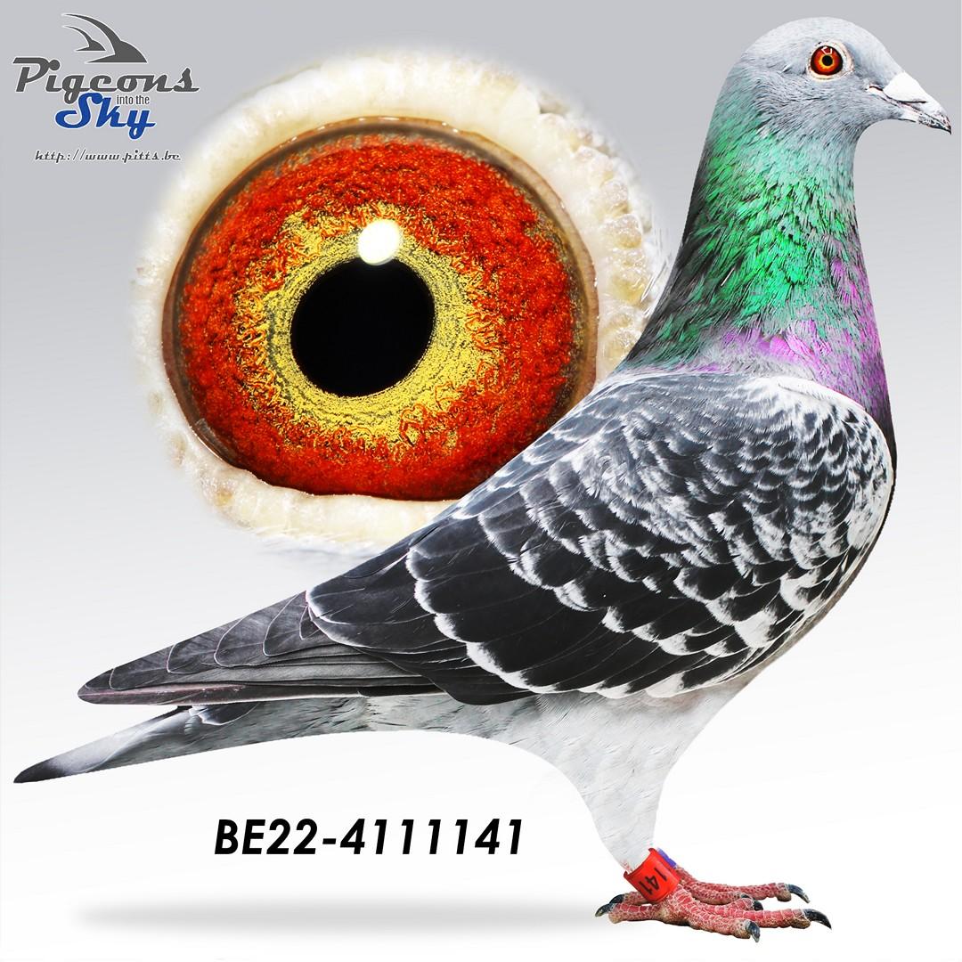 BE22-4111141