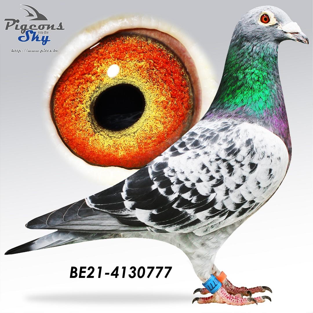 BE21-4130777