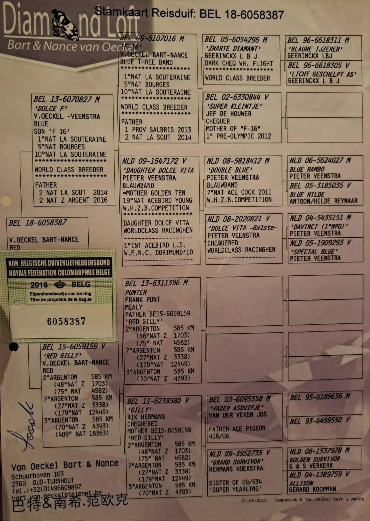 Pedigree_6058387_18_Orig