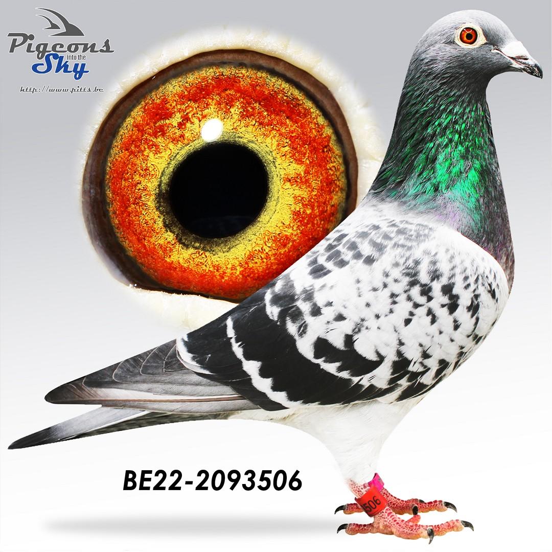 BE22-2093506