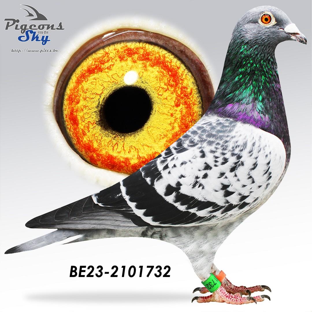 BE23-2101732