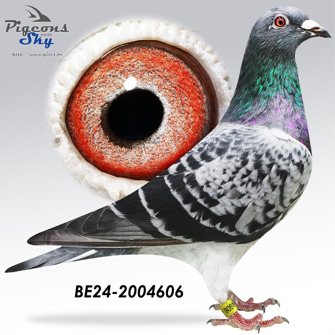 BE24-2004606