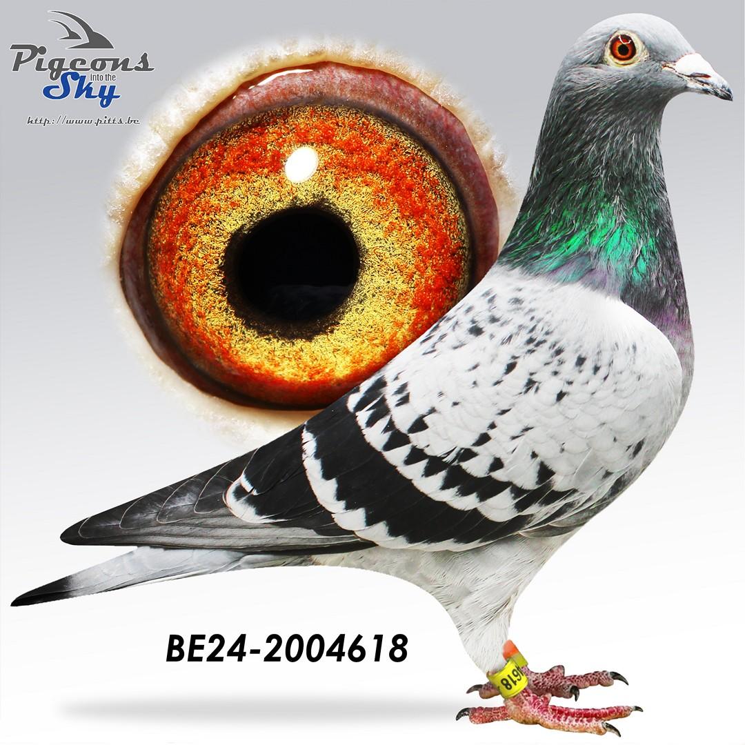 BE24-2004618