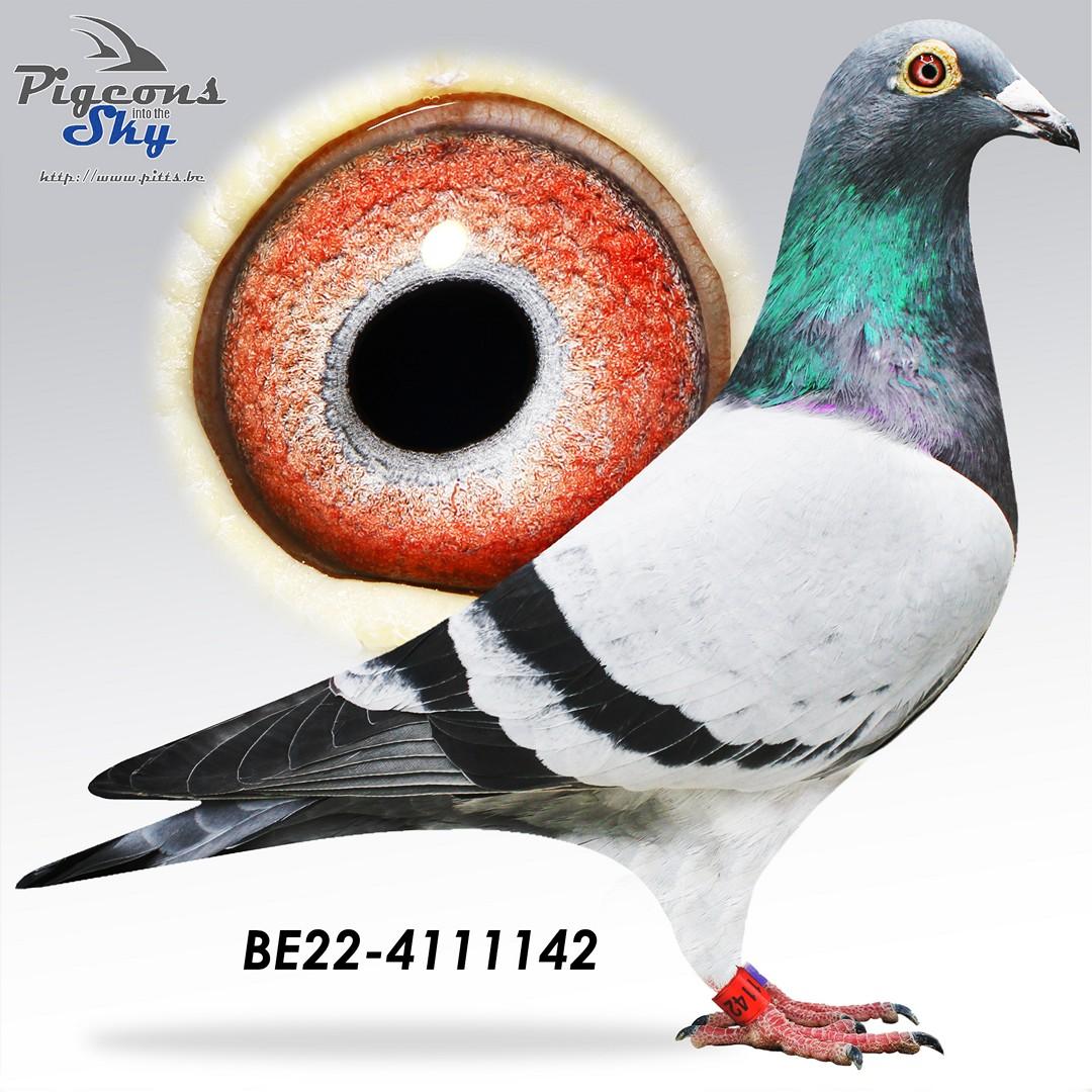 BE22-4111142