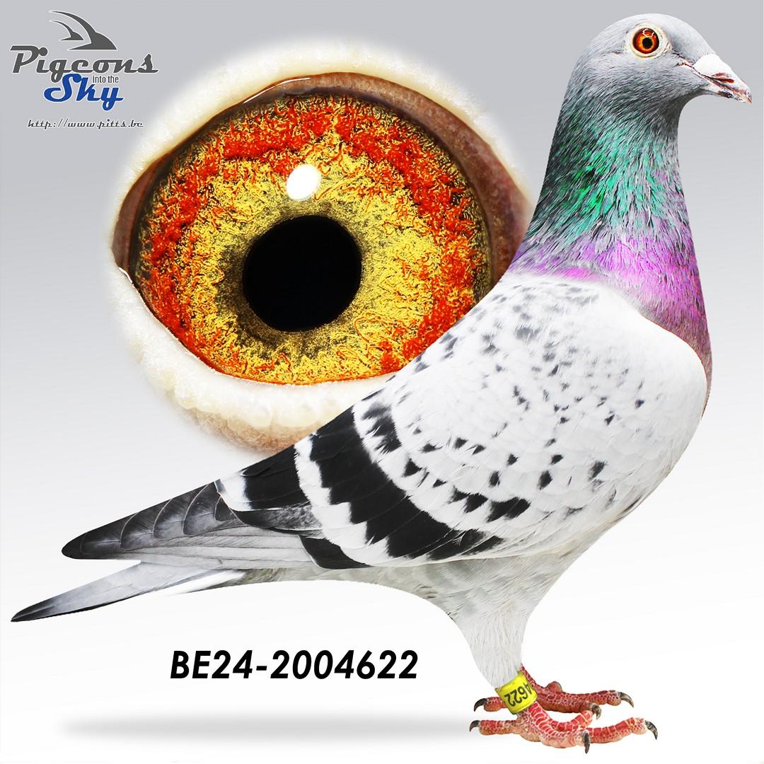 BE24-2004622