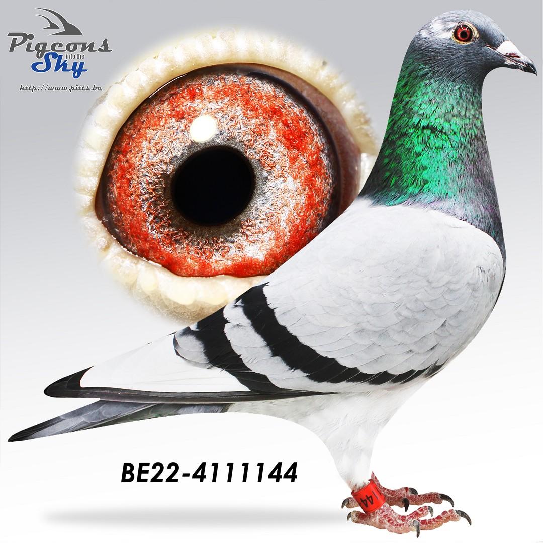 BE22-4111144