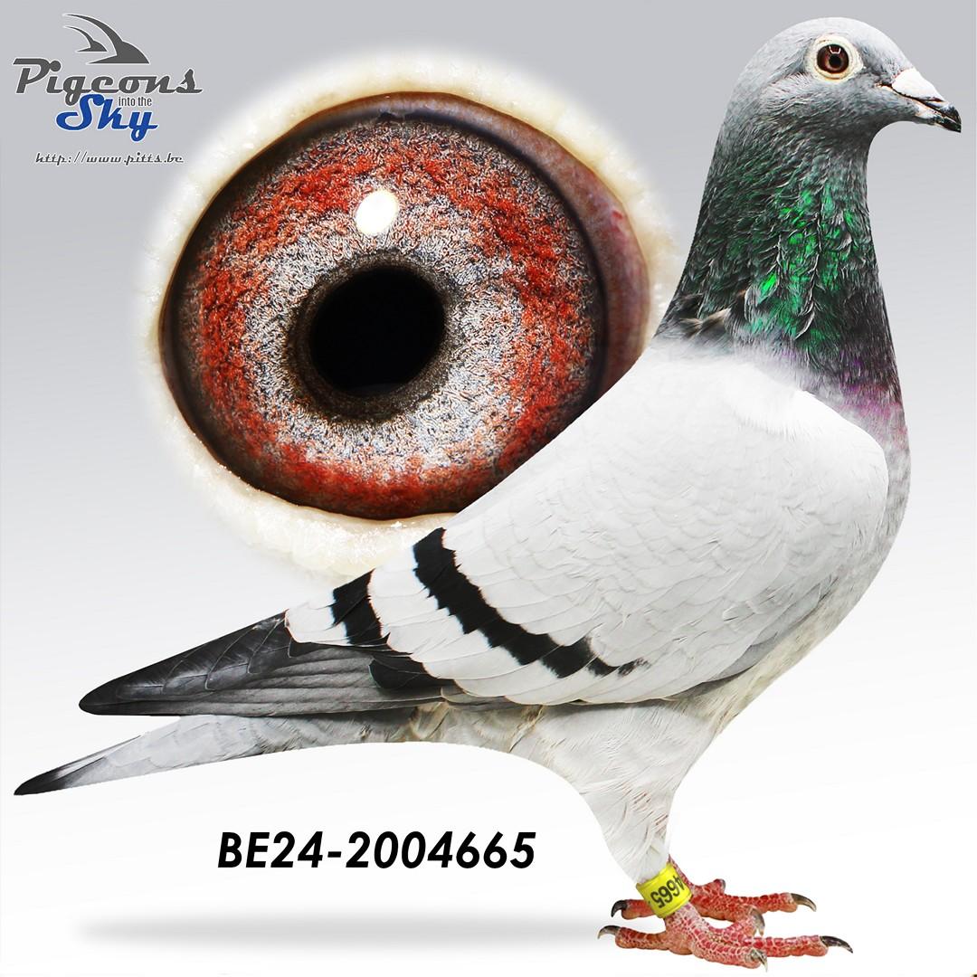 BE24-2004665
