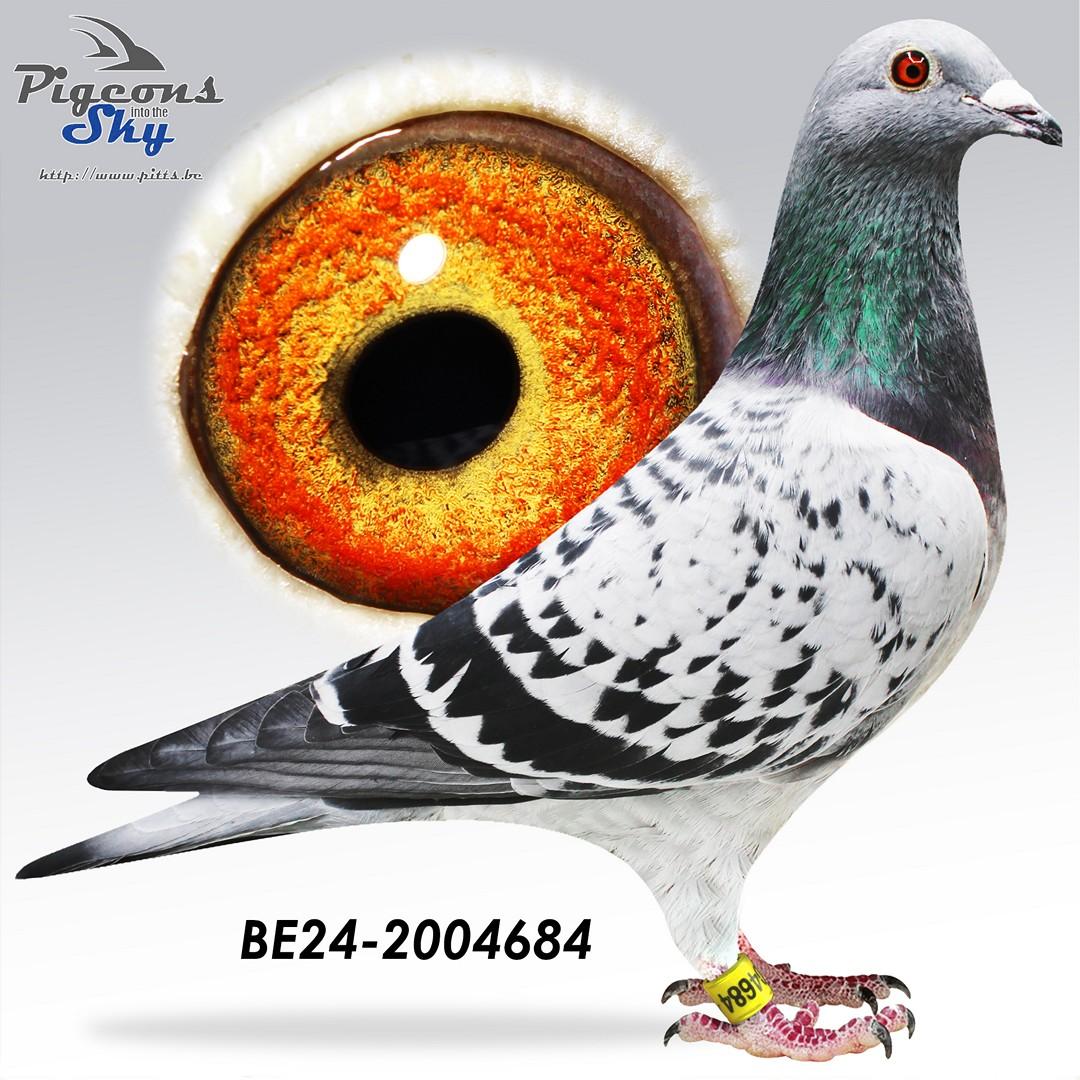 BE24-2004684