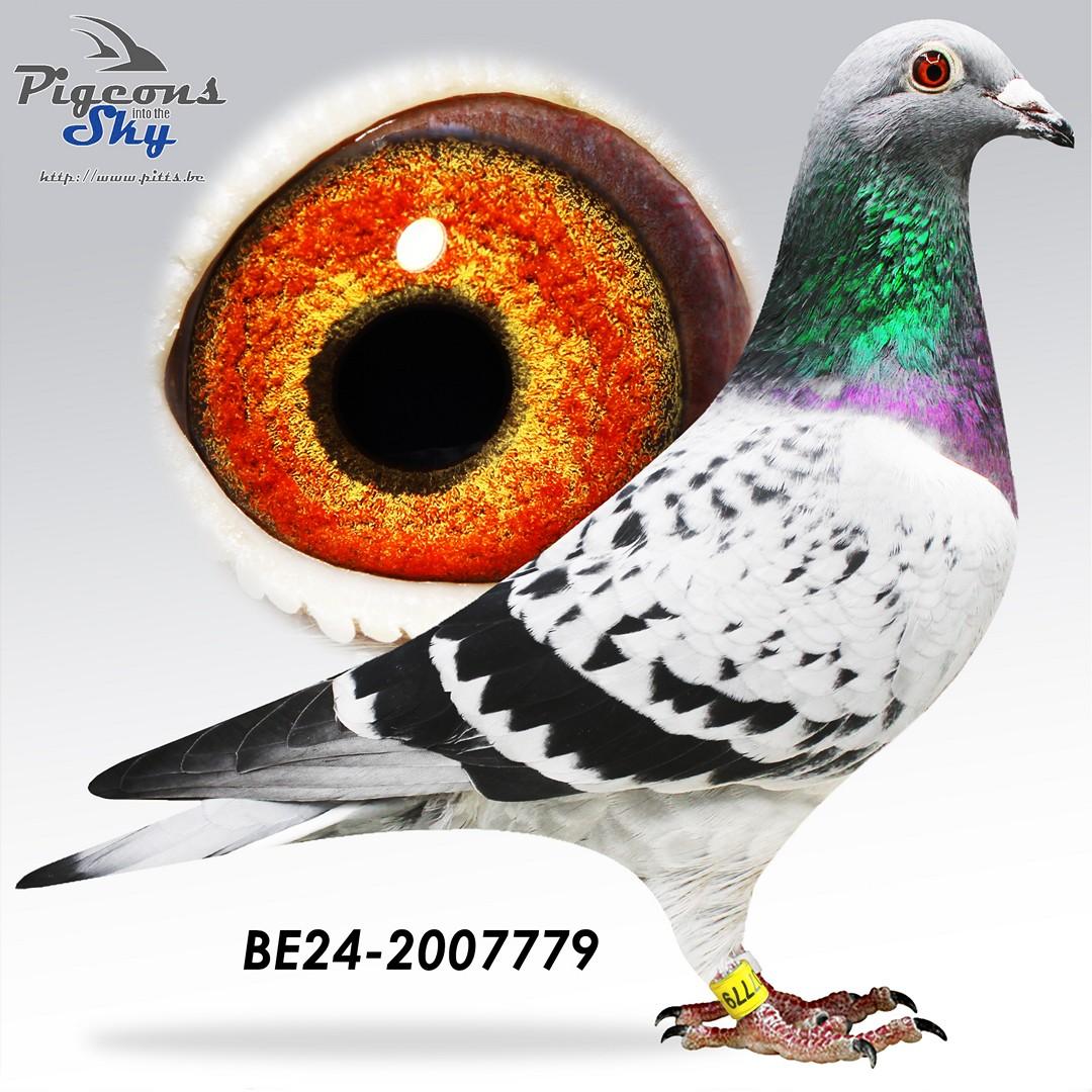 BE24-2007779