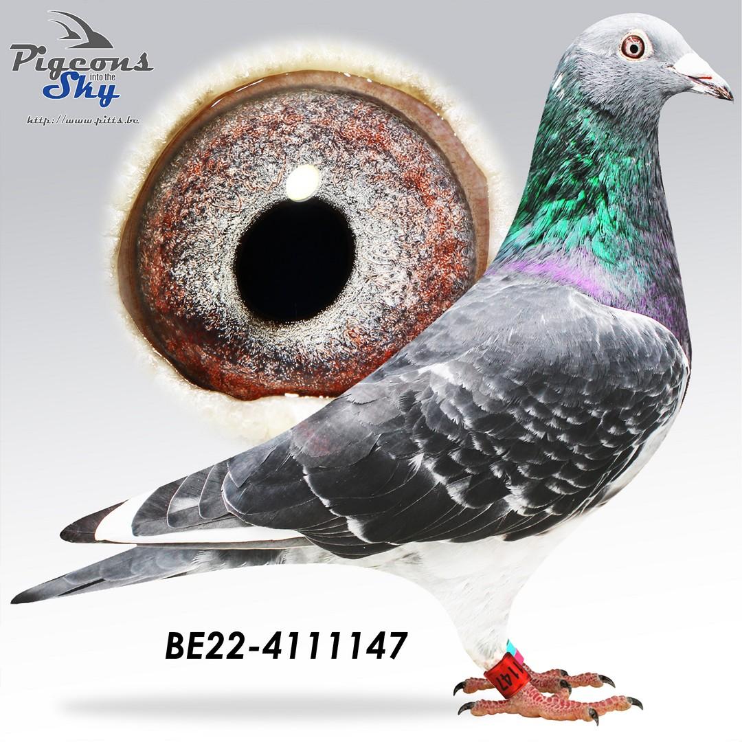 BE22-4111147