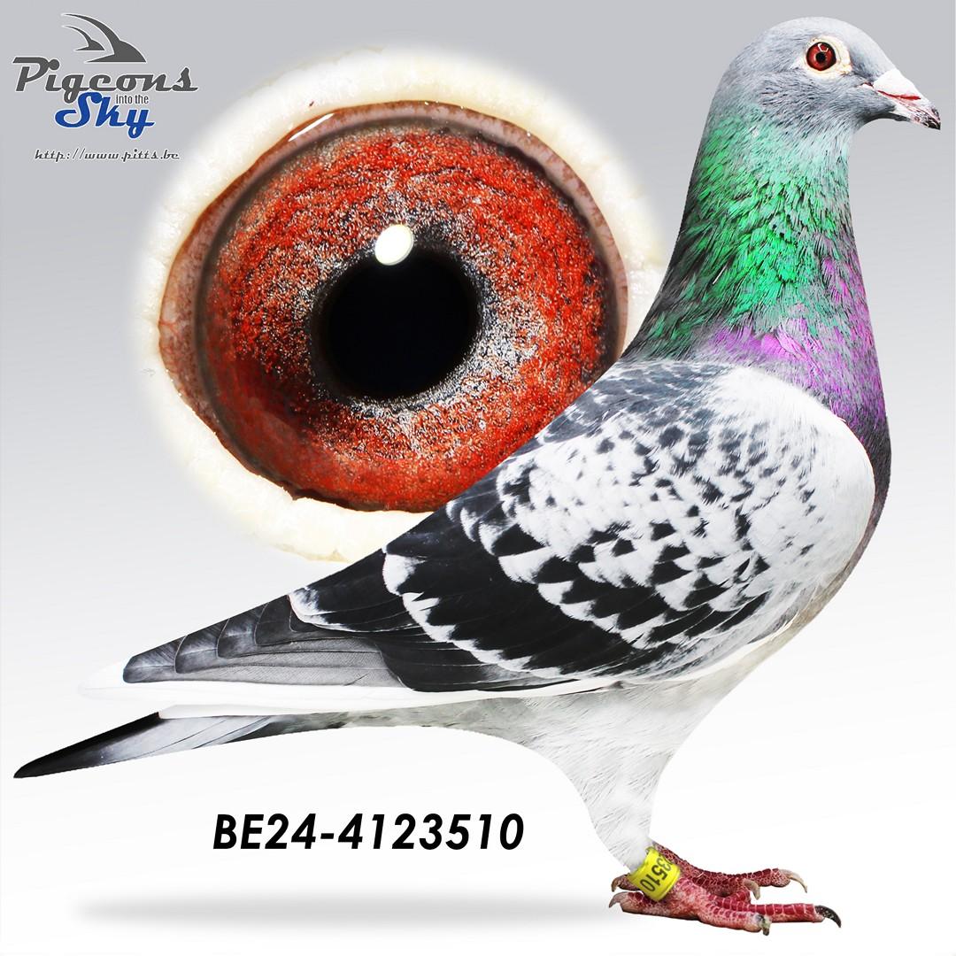 BE24-4123510