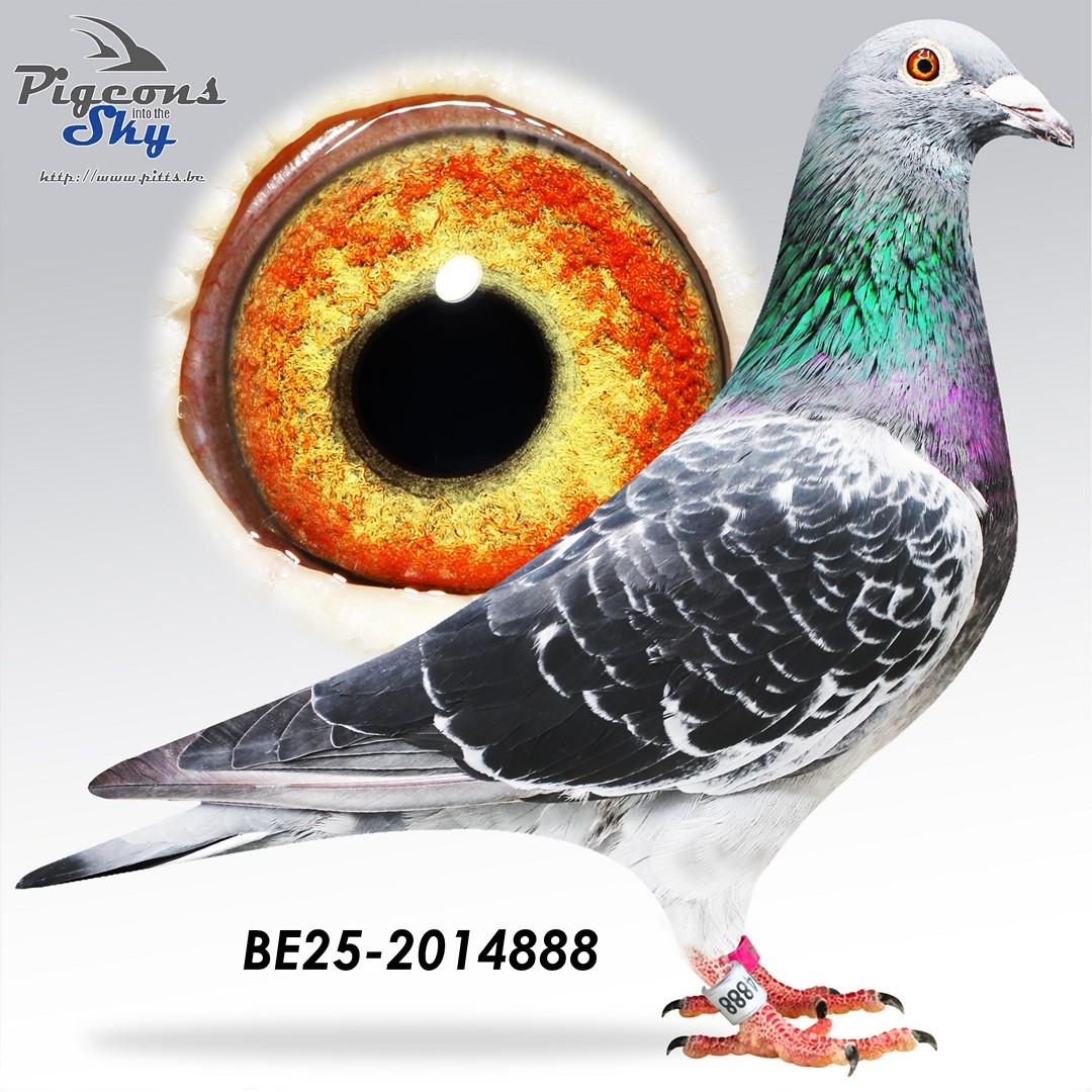 BE25-2014888