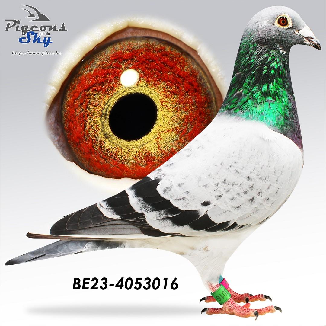 BE23-4053016