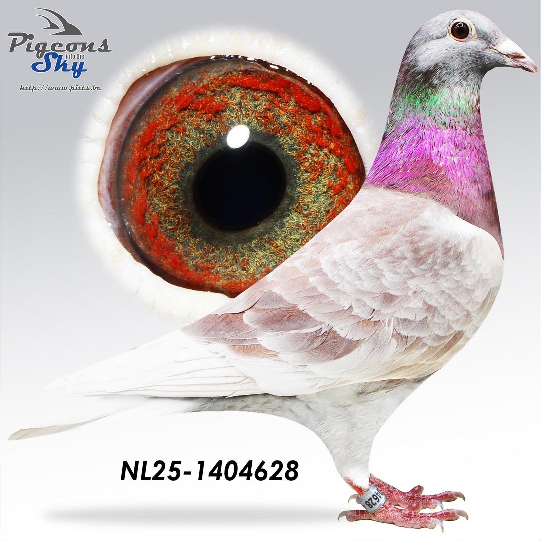 NL25-1404628