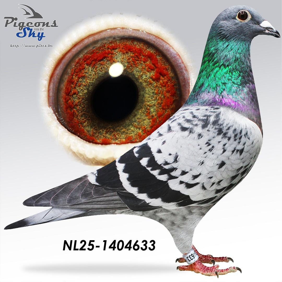 NL25-1404633