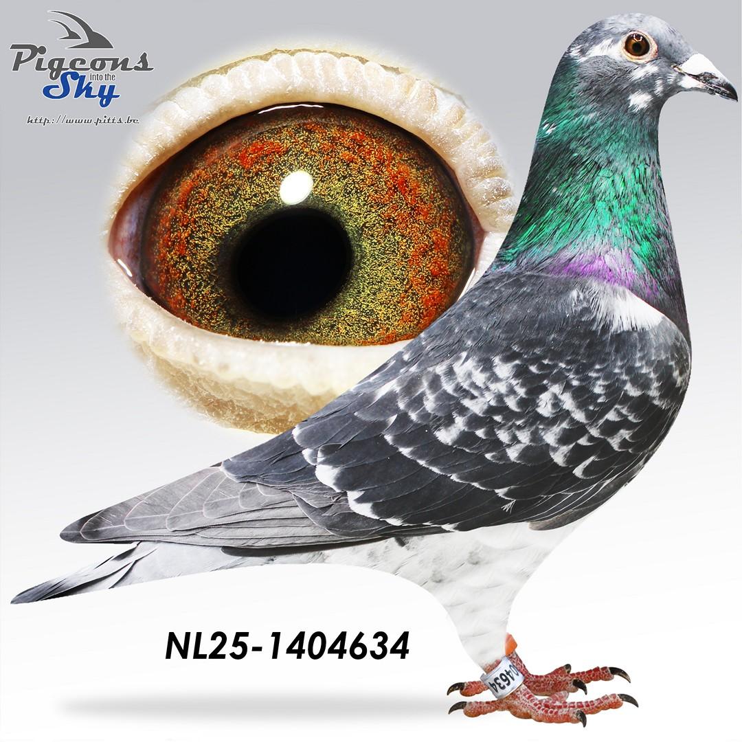 NL25-1404634