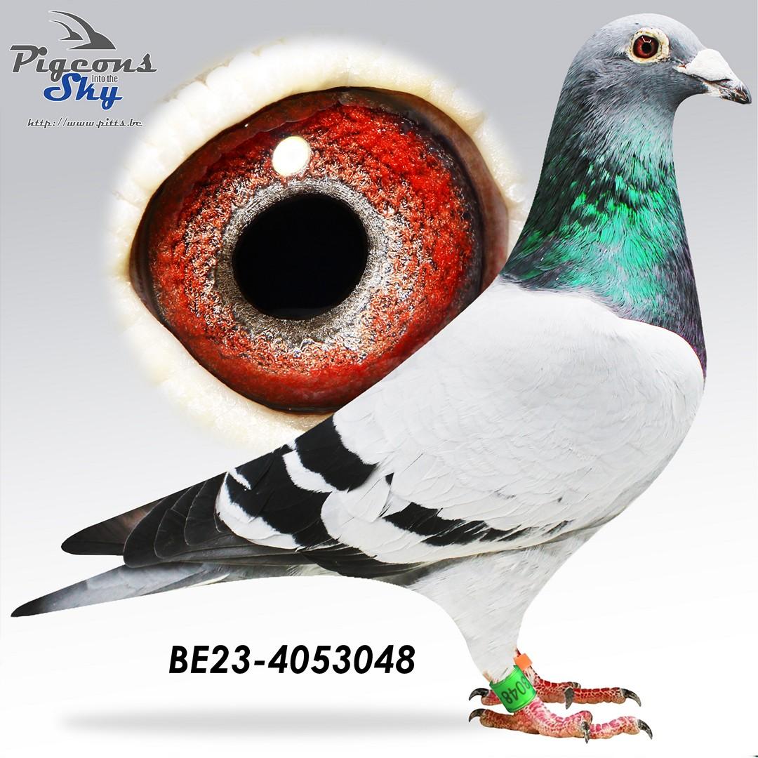 BE23-4053048