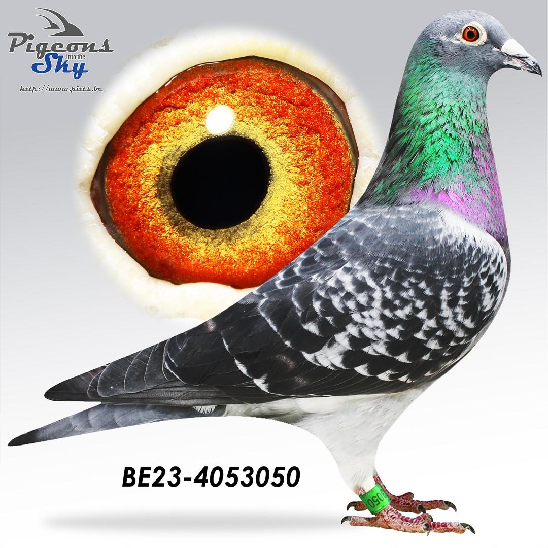 BE23-4053050